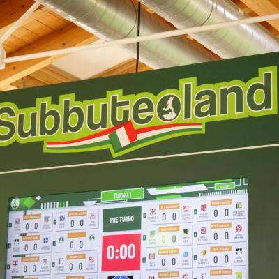 Tdr 2025 Subbuteoland 1 00112