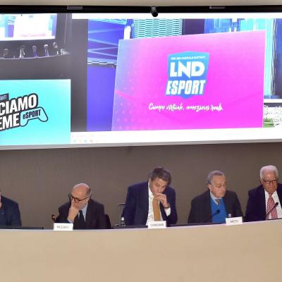 Santa Maria Misericordia 00006